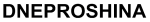 ДШЗ