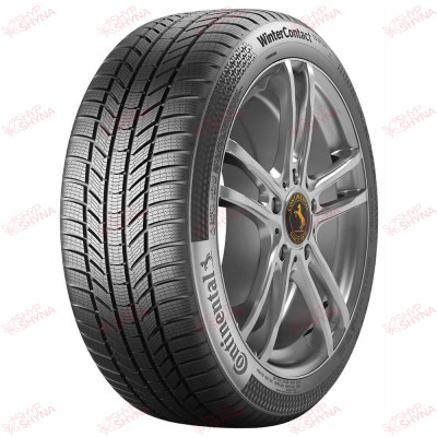 Continental WinterContact TS 870P 225/60 R17 99H , зображення №
