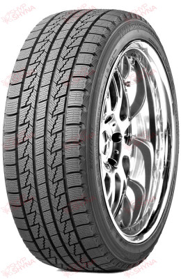 Roadstone Winguard Ice