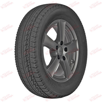 Roadmarch Snowrover 966 175/70 R13 82T , зображення №