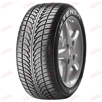 Sava Intensa 205/55 R16 91W , зображення №