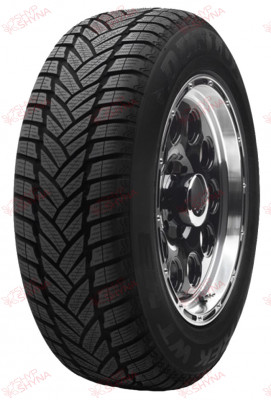 Dunlop Grandrtrek WT M3