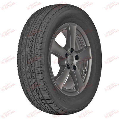 Roadmarch Snowrover 966 215/60 R16 99H XL , зображення №