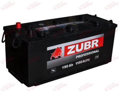 ZUBR Professional 190AH 1200EN плюс ліворуч, зображення №