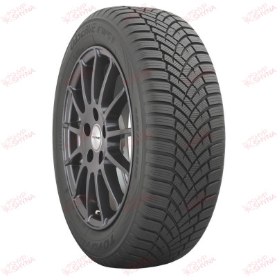 Toyo Observe EWS1 225/45 R18 95V XL , зображення №