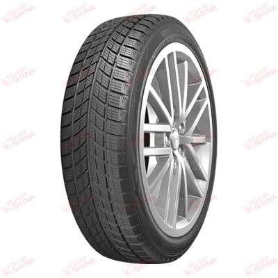 Doublestar DW09 275/45 R20 110H XL , зображення №