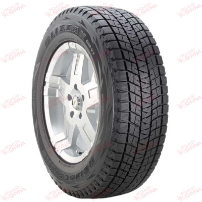 Bridgestone Blizzak DM-V1