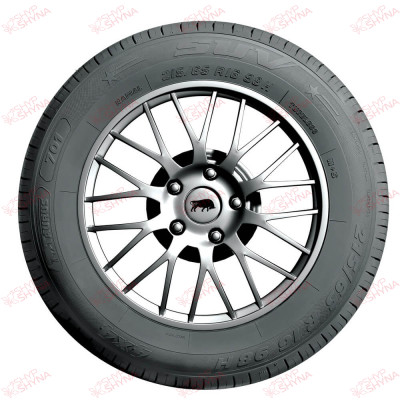 Taurus 701 SUV 255/50 R19 107W SUV , зображення № 3