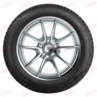 Tigar Winter 215/65 R17 99H , зображення № 3