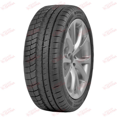 Davanti Wintoura+ 255/40 R19 100V XL , зображення №