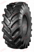 Белшина ИЯВ-79 21,3/- -24 140A6, зображення №